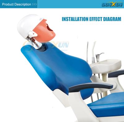 China Education Plastic Dental Training With Jaw Model Dental Phantom Manikin Simulator Typodont Head Head Model for sale