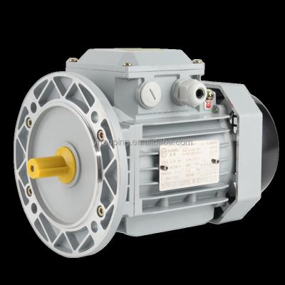 China IE2 Cast Iron Motor Electric Motor 0.75kw 1400rpm Three Phase Asynchronous Asynchronous Induction Motor for sale