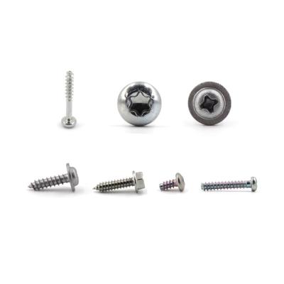 China Pan Professional Customized Non-Standard Fasteners Tapping Screw for sale