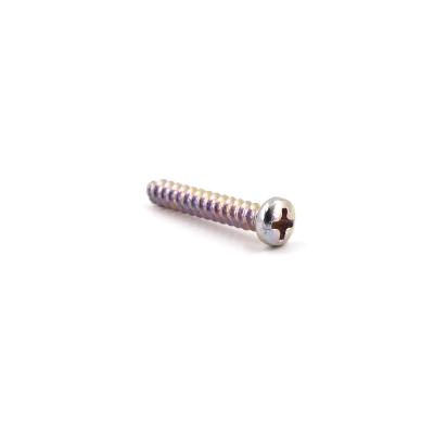 China Pan Head Pointed Head Stock Tapping Screw Flat Teeth for sale