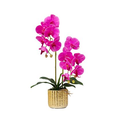 China Wholesale Home Decor Corrosion Resistance Real Touch Butterfly Artificial Orchid Flower Potted Artificial Phalaenops Orchid Plant With Pot for sale