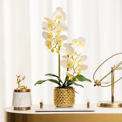 China High quality corrosion resistance simulation touch feel artificial colorful phalaenopsis orchid flower decorative with gold pot for sale