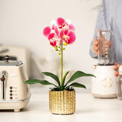 China Corrosion Resistance One Branch Artificial Silk Orchid Bonsai For Sale Artificial Orchid Plants For Decoration High Quantity Potted Orchid for sale