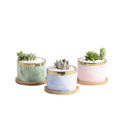 China Wholesale Cute Design Small Corrosion Resistance Ceramic Cylinder Succulent Pots For Plants With Bamboo Tray Planter Set for sale