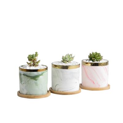 China Wholesale Cute Design Small Corrosion Resistance Ceramic Cylinder Succulent Pots For Plants With Bamboo Tray Planter Set for sale