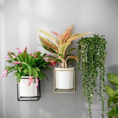 China Corrosion Resistance Wholesale Planter Indoor Ceramic Flower Pots With Square Metal Rack For Succulent Cactus Plants for sale