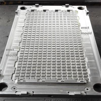 China Steel Plastic Pallet Molds Molds for sale