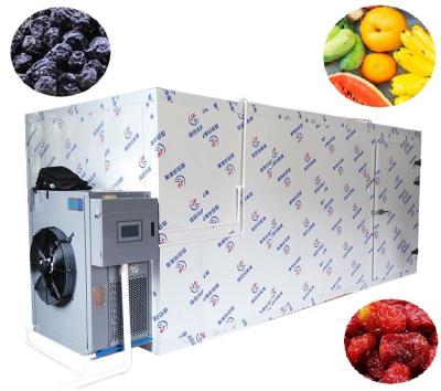 China Plant Papaya Longan /Jackfruit /Avocado /Blueberry Cherry Drier Oven for sale