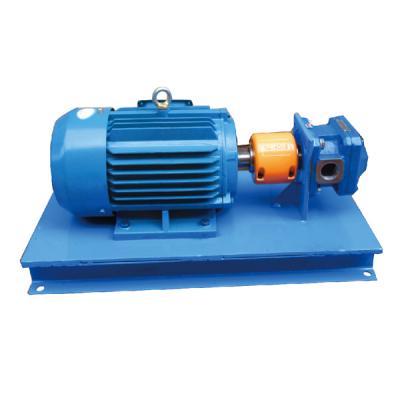 China Automotive Industry China Factory Good Quality High Pressure Permanent Magnet Water Fuel Coupling Centrifugal Pump for sale