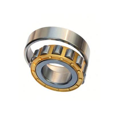 China Hot New Products Modern Long Life Cylindrical Roller Bearings Cylindrical Roller Bearings For Hydraulic Pumps for sale