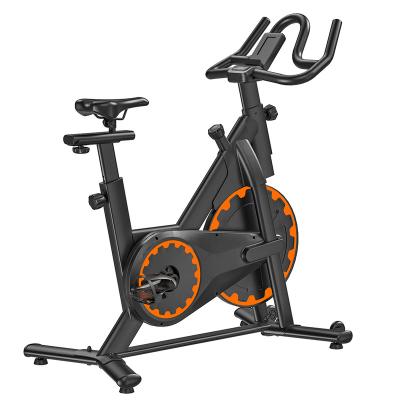 China Home Use Sunyounger Indoor Cycling Bike, Stationary Exercise Bike with Platform Stand and Comfortable Cushion for sale