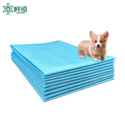 China Potty Dog Toilet Eco Friendly Warm Outdoor Durable Underpads Disposable Pet Protection Puppy Training 60x90 for sale