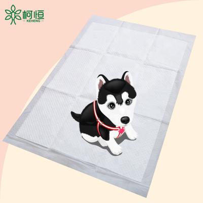 China Perfect Quality Viable Size Strong Water Absorption Soft And Light Disposable Multi Size Pet Dog Cat Dog Products Maintenance Protection Pet Training for sale