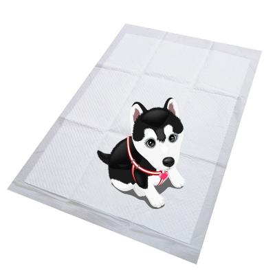 China Viable dog toilet sheet for sale