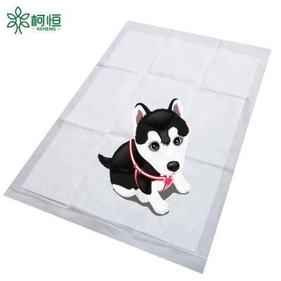 China 2022 Blue Cheap Disposable New Arrival Pet Protective Puppy Film Dog Viable Clean Bottom Easy Clean Toilet Mat Training for sale