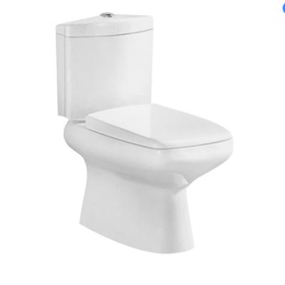 China New Double-Flow Design Floor Washdown Ceramic Two Piece Toilet Commode for sale