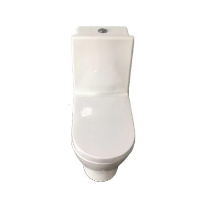 China Double-Flow Toilet Bowl Washdown One-Piece Toiletries Bathroom Wc Ceramic Sanitary Bowl Toilet With Bidet for sale