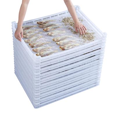 China Food Agriculture Tray China Factory Competitive Price Cotton Candy HDPE Aerated Plastic Drying Tray With Mesh Hole for sale