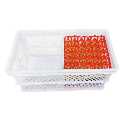 China Foldable Recyclable Stackable With Tote Egg Crates Convenient Plastic Turnover Conductive Box Transportation Logistics Packaging Crate for sale