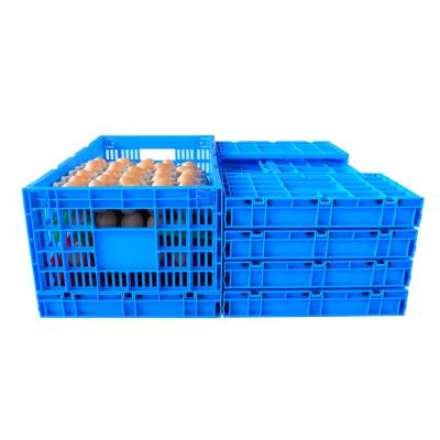 China Collapsible Recyclable Stackable Folding Sheets Packing PP Plastic Egg Crate for sale