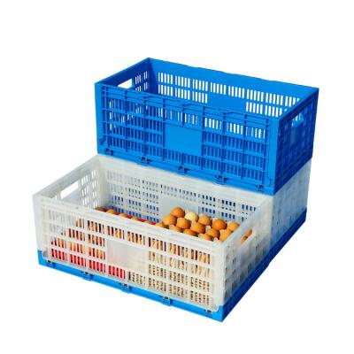 China New Design Egg Crate Stackable Chicken Egg Crate 360 ​​Egg Foldable Recyclable Stackable Plastic Stackable Transport Crate for sale