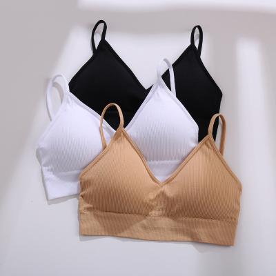 China Hot Selling Solid Color One Piece Wireless Bra For Sleep Sports Yoga Comfort Women Seamless Bra for sale