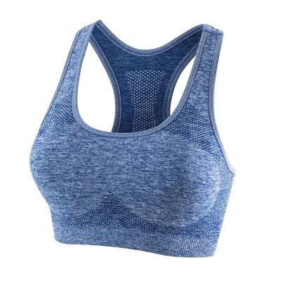 China Seamless Breathable Shockproof Wide Bra Yoga Bra Ladies Women Workout Tops Seamless Bras for sale