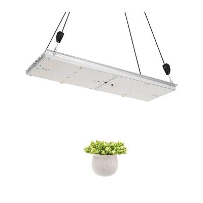 China FLOWER 240w Professionals Led Grow Light IR UV Red Full Spectrum For Indoor Plant Greenhouse Grow Tent for sale