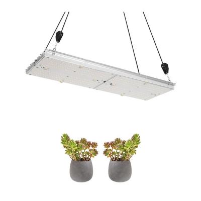 China Artificial FLOWER Plant Lamp Full Spectrum 240w Led Equipment 600nm UV Grow Light For Indoor Plant Grow for sale