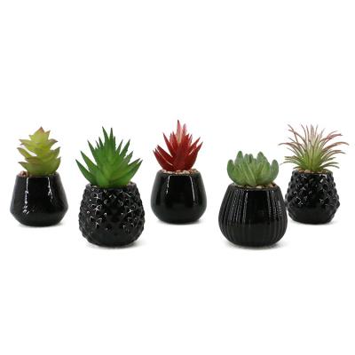 China Durable cheap ceramic artificial natural succulent plants bonsai with pot set for home decor for sale