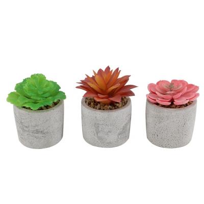 China Wholesale Durable Home Office Plastic Fake Pot Mini Decoration Artificial Succulent Plants for sale