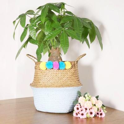 China 2021 K&B Amazon Hot Sale China Straw Hotel Vegetable Plankton Plants Large Round Storage Basket With Cover for sale