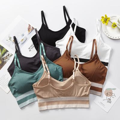 China Factory Direct Selling Breathable Beauty Top Back Tube Sportswear Ladies Nylon / Cotton Seamless Sports Wrapped Chest Bra for sale