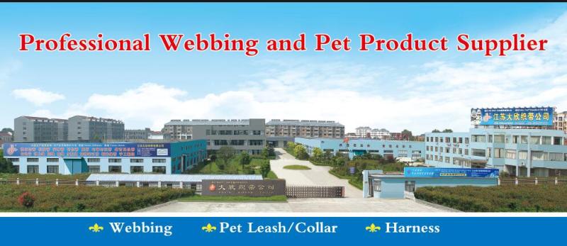 Verified China supplier - Jiangsu Daxin Webbing Co., Ltd.