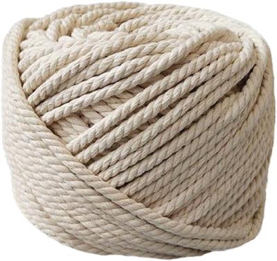 China Sustainable 100% natural cotton twisted rope 1/12