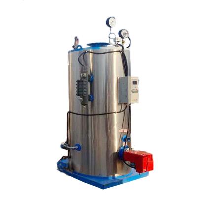 China China VERTICAL Industrial Gas Steam Generator 100 Kg For Lab for sale