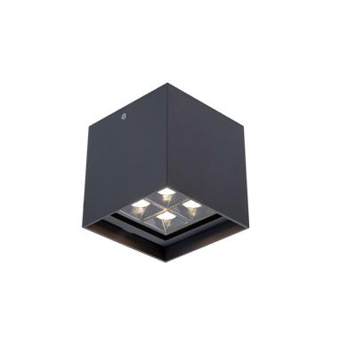 China Best Quality Modern 12W LED Surface Mounted Surface Mounted Ceiling Light for sale