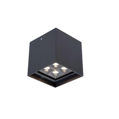 China Class I IP65 12w 2x10w SMD LED Outdoor Mounted Modern Lens Angle Hotel Ceiling Light Ceiling Lamp for sale