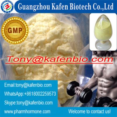 China 99% Purity Hot Sale Ananbolic Steroid Hormone Powder Trenbolone Acetate for sale