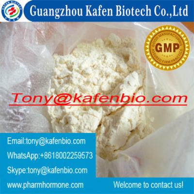 China Anabolic Steroid Powder Androstenolone DHEA Dehydroepiandrosterone For Muscle Strength for sale