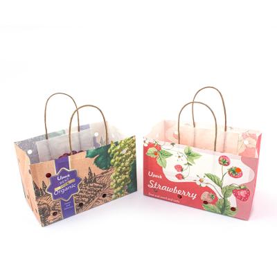 China Sustainable Wet Strength Kraft Paper Fruit Paper Bags Customized Carry Weight for sale