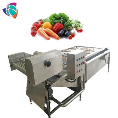 China With Vegetable Sprayers (Second Cleaning) Fruit Washer / Coriander Cleaner Machine for sale