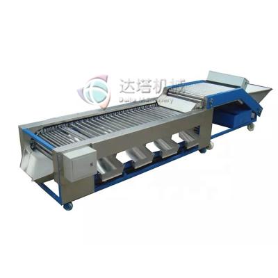 China To Grade and Sort Round or Oval Root Vegetables and Commercial Automatic Vegetable Tomato Fruit Onion Potato Apple Fruit Sorter for sale