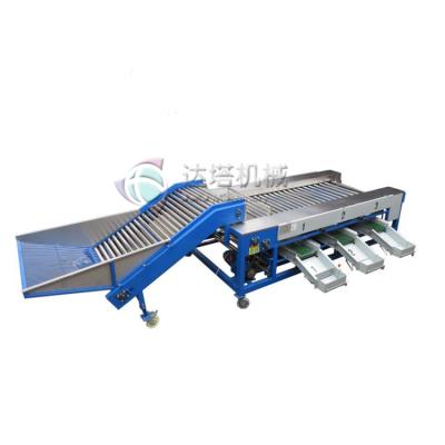 China Electric fruit processing plant customization fruit grader/picking line for avocado for sale