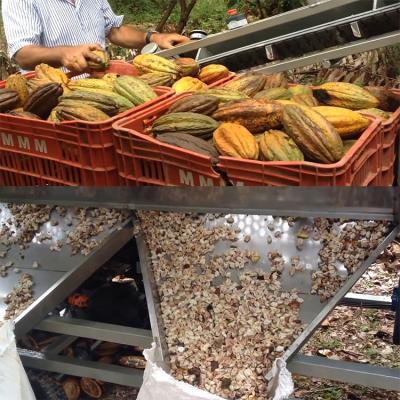 China High Efficiency Fresh Cocoa Pod Cutting Machine / Fresh Cocoa Pod Cutting Machine for sale