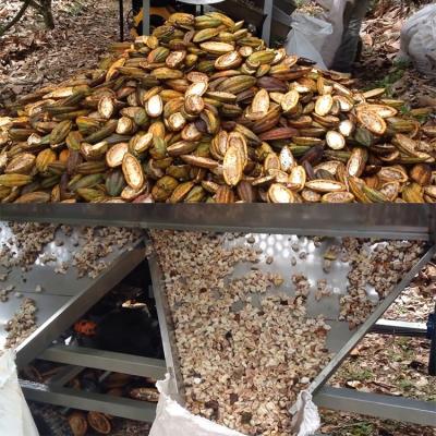 China High Efficiency Fresh Cocoa Husk Thresher / Fresh Cocoa Husk Hull for sale