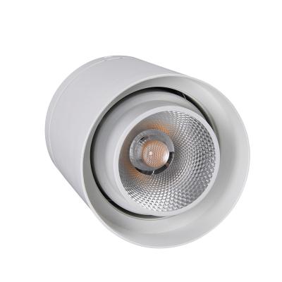 China Modern 80-265V, 12-30W, 2500lm, adjustable angle, round ceiling light for sale