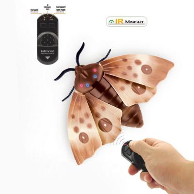 China Funny Funny Animal Moths Toy Plastic Toy Infrared Remote Control Simulates Insect Model With Light for sale