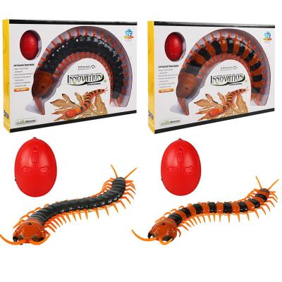 China Education Toys Realistic Rc Scolopendra Toys Infrared Remote Control Centipede Toy Rc Prank Crawly Chilopod Insects Hot Halloween Gift for sale