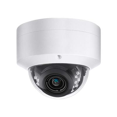 China Hot Sale IMX335 Detection IMX335 IP 5MP Vandal Proof Dome Camera Human Lens IP66 IP66 for sale